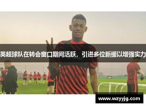 英超球队在转会窗口期间活跃，引进多位新援以增强实力