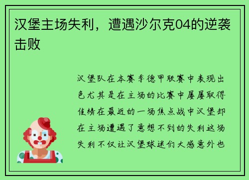 汉堡主场失利，遭遇沙尔克04的逆袭击败